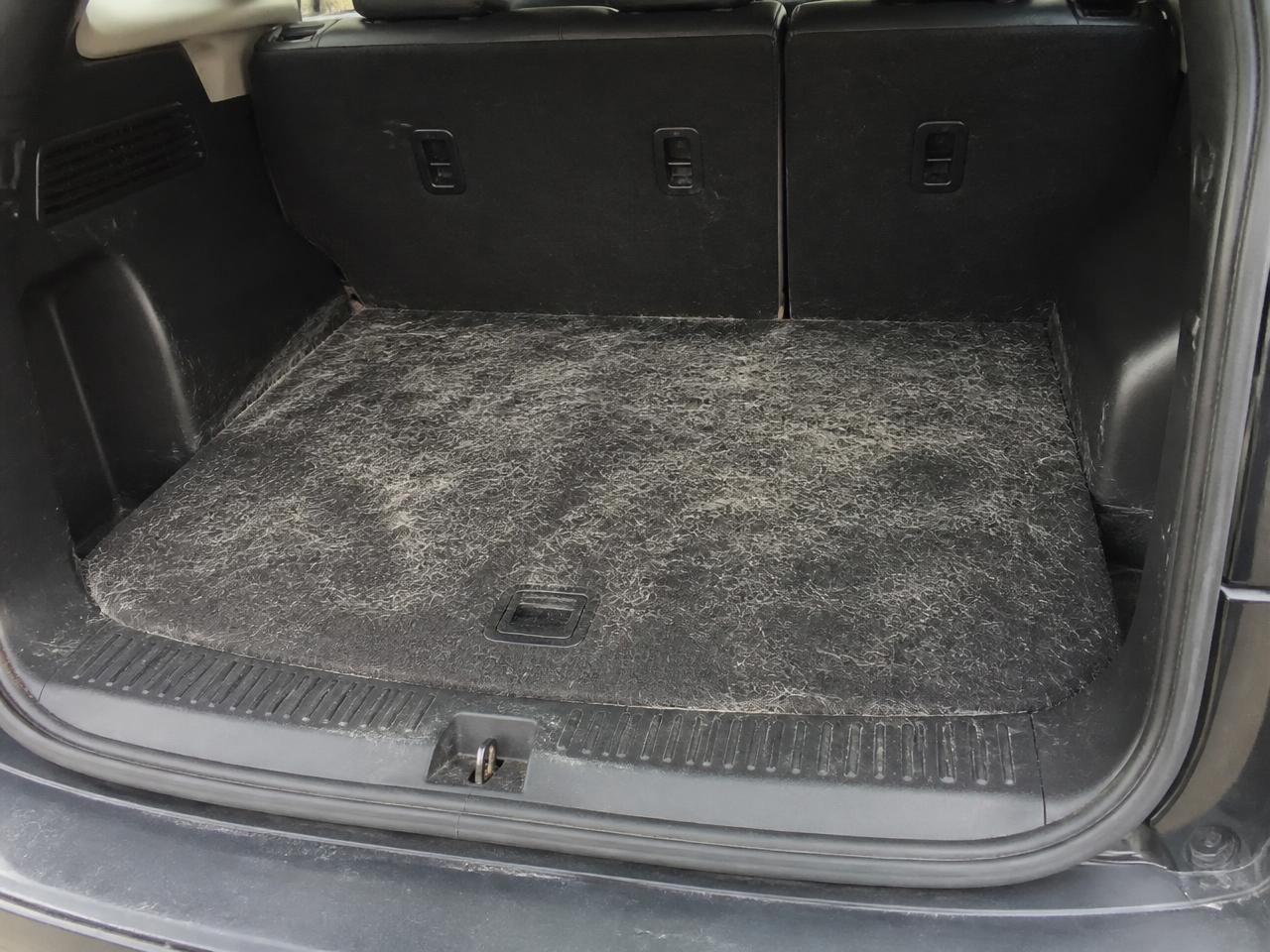 Pet Hair & Sand Removal — Dopamine Detail San Diego
